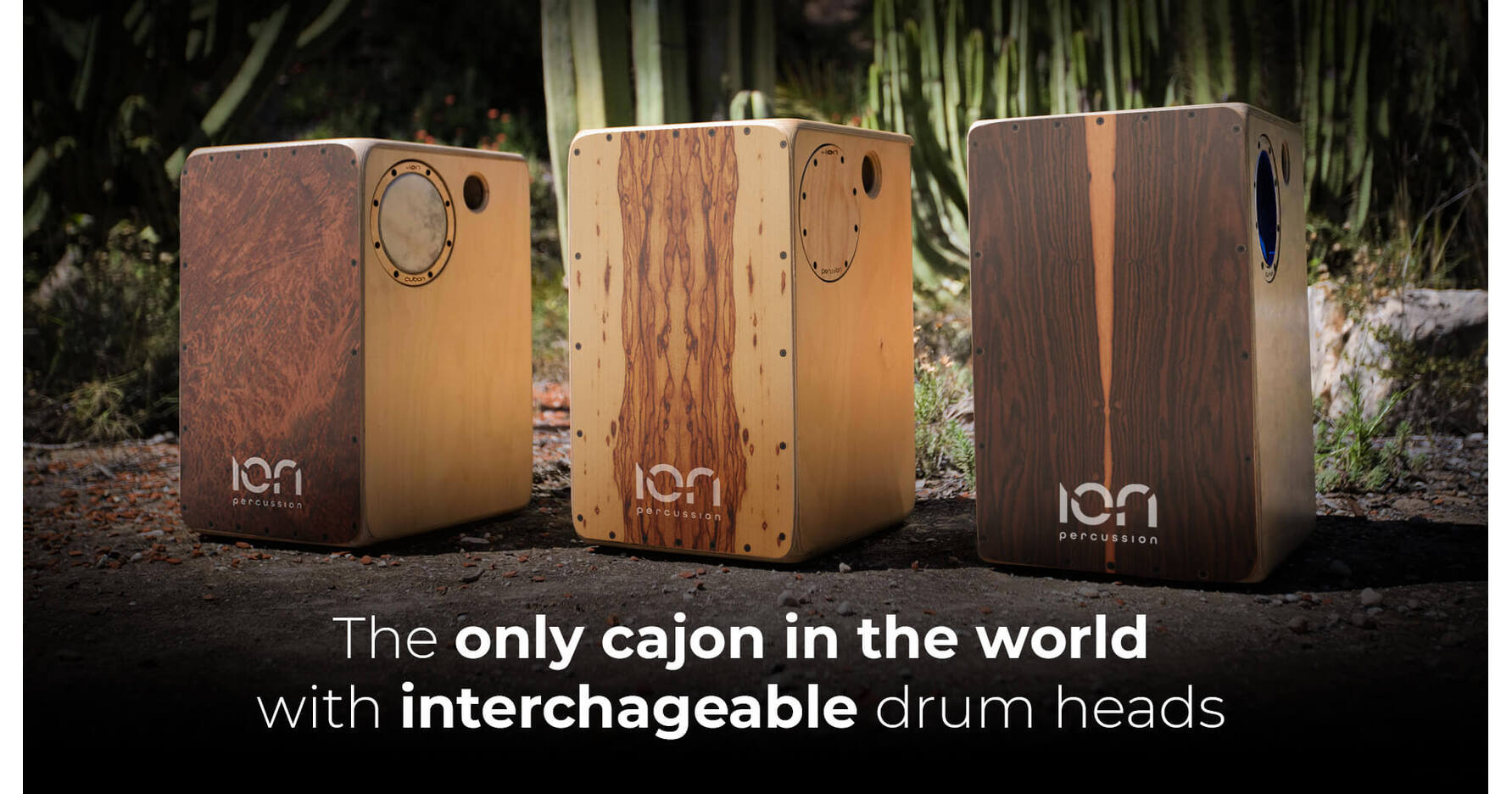 ION Percussion New Arrivals