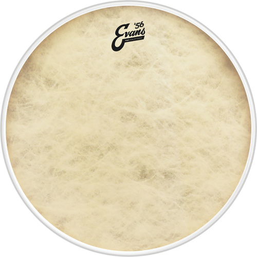 Evans EQ4 Calftone Bass Drum Head, 16"