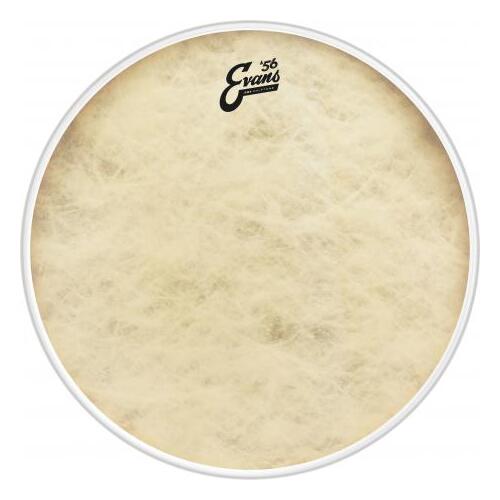 Evans EQ4 Calftone Bass Drum Head, 18"