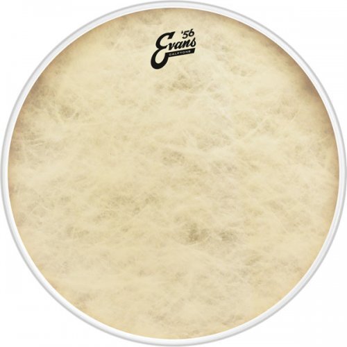 Evans Calftone Bass Drum Head, 22"