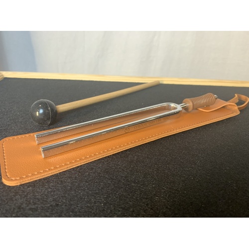 Synodic Day Tuning Fork - 194.18Hz
